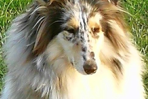 Marcaria Casa | Corte Ventaglio