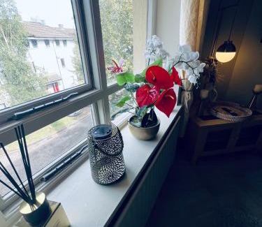 Cork Apartamento | Cosy apartment in heart of Cork City