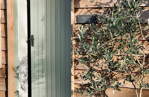 New Forest District Cabaña | Cosy Luxury Cabin in the heart of the New Forest National Park