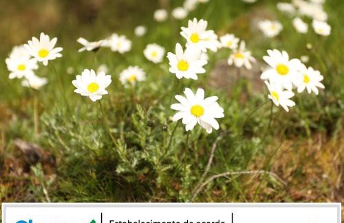 Penhas da Saude Chalet De Esquí | Cota 1500 - Chalé 32 - Penhas da Saúde