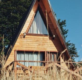 Zabljak Chalet De Esquí | Cottage Forest Hill