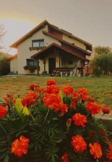 Bradulet Casa | Cottage in traditional village Bradulet, Arges county