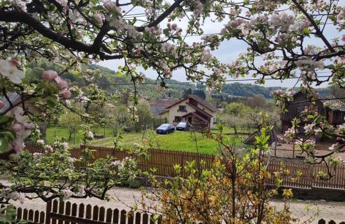 Bradulet Casa | Cottage in traditional village Bradulet, Arges county