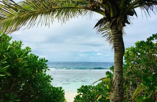 Temae Casa | Cottage « the papaya tree »