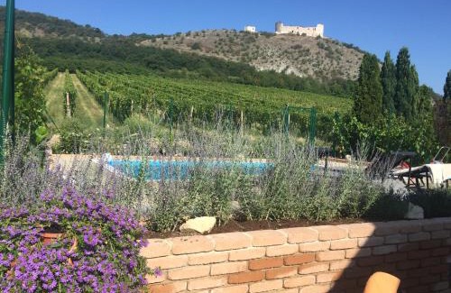 Pavlov Casa | cottage with private swimming pool