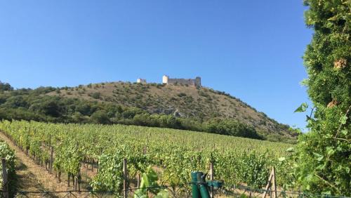 Pavlov Casa | cottage with private swimming pool