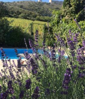 Pavlov Casa | cottage with private swimming pool