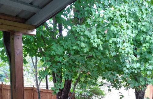 Hickory Cabaña | Country Cottages