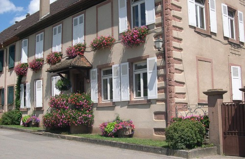 Hunawihr Apartamento | Casa / apartamento rural - HUNAWIHR (Ht-Rhin)