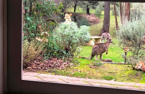 Hepburn Apartamento | Countryside Retreat romantic tranquil native wildlife township Hepburn - Daylesford