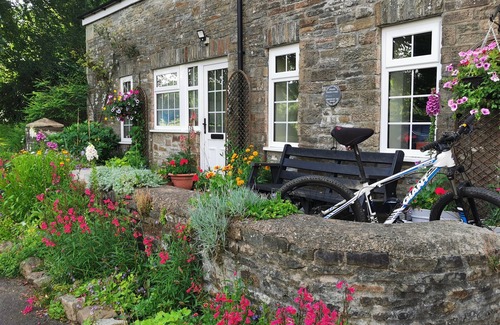 Margam Cabaña | Cabaña en el patio con jardines privados amplios y conexión WiFi gratuita