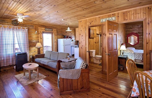 Statts Mills Cabina | Cozy 2-bedroom cabin in charming Statts Mills with AC
