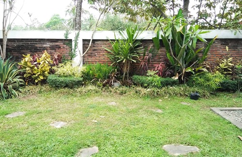 Dinoyo Casa | Habitación económica y acogedora en el centro