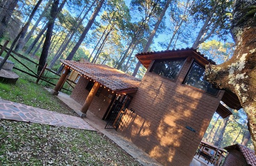 Bouvet Island Cabina | Cozy and quiet place to spend your vacations and holidays, in the forest. Magico