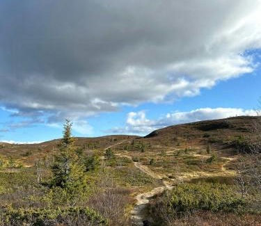Sor-Aurdal Casa | Cozy And Spacious Family Cabin In Valdres