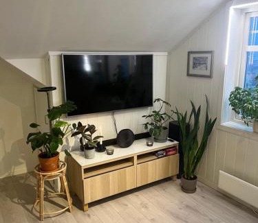 Trondheim Apartamento | Cozy apartment on the hill