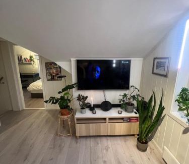 Trondheim Apartamento | Cozy apartment on the hill