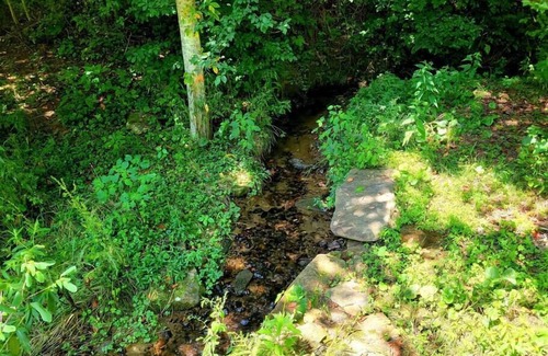 Sylva Cabina | Cozy Cabin Surrounded By Streams