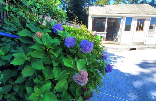 Sagamore Casa | Cozy Cape Cod House - Stroll or Bike the Canal