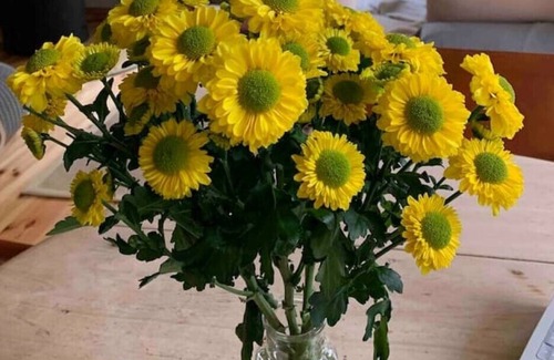 Schoenwalde am Bungsberg Casa | Cozy cottage with fireplace and large garden