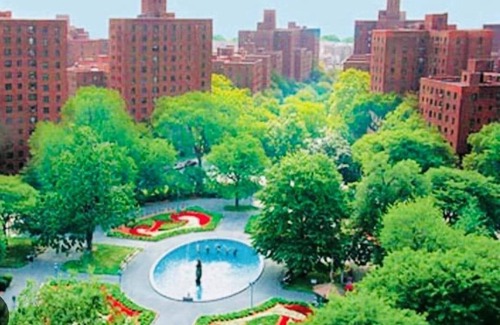 East Bronx Casa | Cozy Condo Quiet Neighborhood In The Bronx! 30 minutes to Manhattan