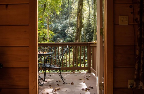Gerton Cabaña | Ven a disfrutar del otoño temprano en medio de las hojas