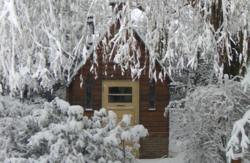 Municipality of Westvoorne Cabaña | Acogedora casa de campo en una finca rural con sauna cerca de las dunas y el mar