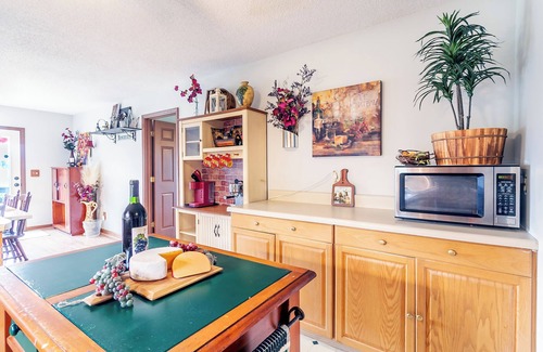 Jonesborough Otro | We have Power, clean well water, and wifi - dog friendly