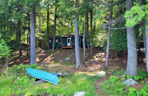 Minden Hills Cabaña | acogedora casa de campo de moda en el corazón de las hermosas tierras altas de Haliburton