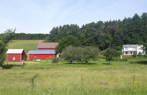 Elroy Cabina | Cozy Pioneer's Cabin on a Peaceful Family Farm
