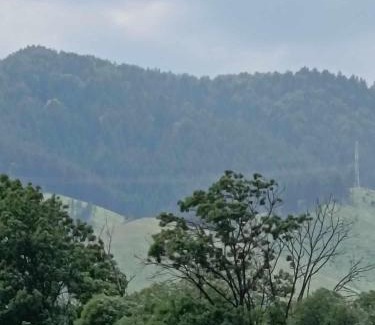 Liptovska Stiavnica Hotel | Cozy Tiny Cabin Meadow
