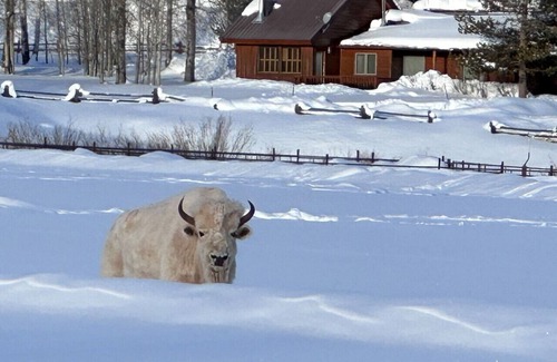 Bondurant Casa | Cozy Wyoming Retreat – Perfect for Families & Relaxation