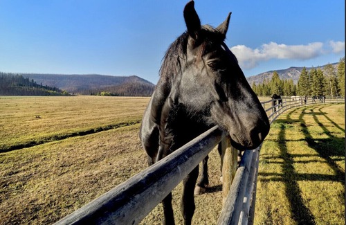 Bondurant Casa | Cozy Wyoming Retreat – Perfect for Families & Relaxation
