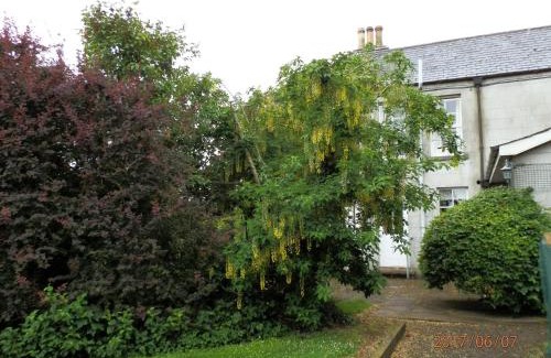 Craigavon Casa | Crannagael House