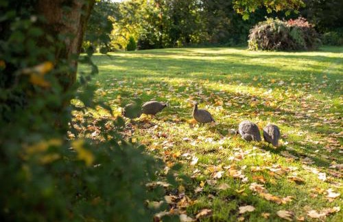 Craigavon Casa | Crannagael House