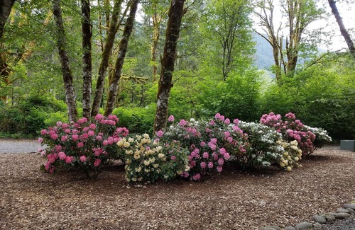 Lewis County Casa | Inicio de registro personalizado