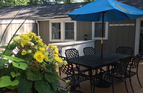 Holland Cabaña | ¡Todavía disponible para la semana del 4 de julio! Cerca del parque estatal Holland