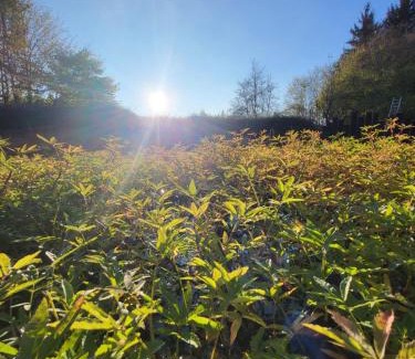 Mariembourg Otro | Dôme design by Out & Lodge