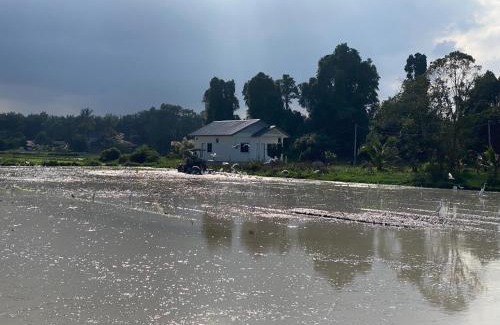 Tumpat Casa | D'Bendang Homestay