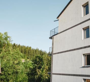 Verkhovyna Hotel | D&T Hotel