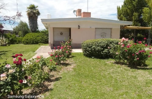 Rama Caída Casa | Damasco