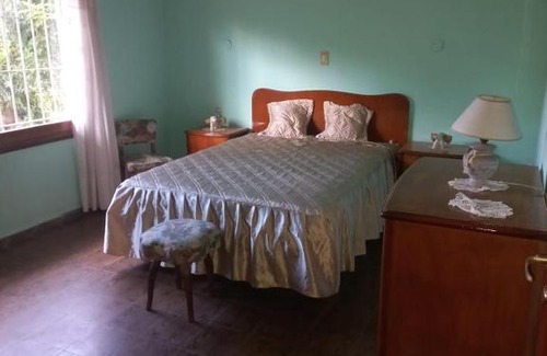 Rama Caída Casa | Damasco