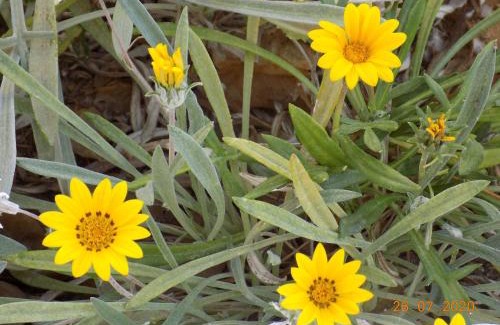 Sangho Cama Y Desayuno | Dar Mamina