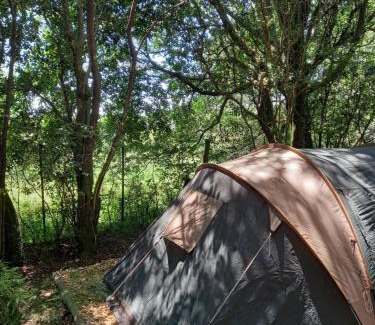 Dargle Otro | Dargle campsite