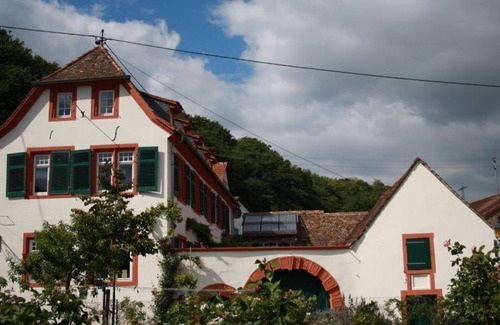 Neustadt-Konigsbach Apartamento | Das Hirschhorner Weindomizil - Fewo, Dusche und Bad, WC, Deluxe