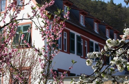 Neustadt-Konigsbach Apartamento | Das Hirschhorner Weindomizil - Fewo, Dusche und Bad, WC, Deluxe