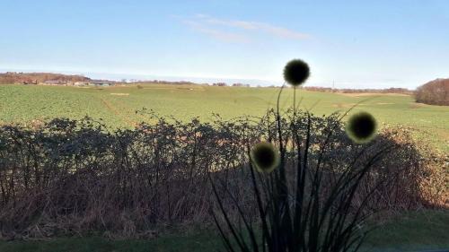 Monchneversdorf Casa | Das magische Geschichtenhaus - Einfach wohlfühlen in der Holsteinischen Schweiz