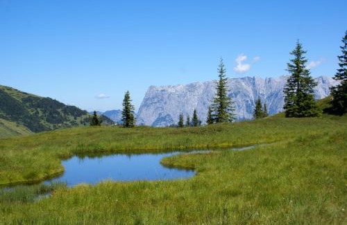 Muehlbach Am Hochkoenig Apartamento | Das Sonneck