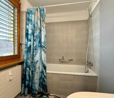 Meierhof Apartamento | Davos Mountain View Studio 200 m Skilift Parsenn