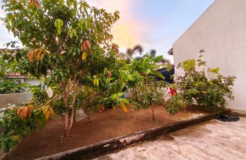 Hutan Kampung Casa | Ddiana 4 Airconds Netflix Wifi